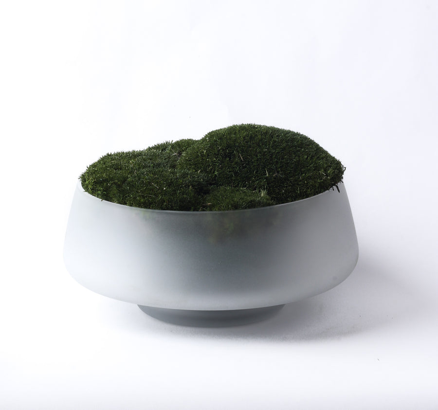 Preserved Moss vase